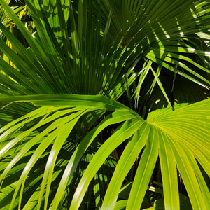 369你懂得天天看片在线看片
